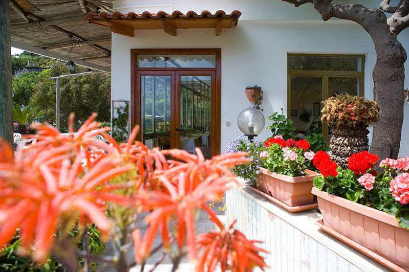 Hotel Villa Franz Sant'Angelo  Bagian luar foto